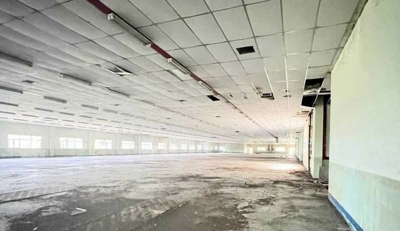 ที่ดิน 308 ไร่ แถมฟรีโรงงานที่ดินสีม่วงเข้ม, ปราจีนบุรี, ศรีมหาโพธิ, ปราจีนบุรี, 14,925 ตร.ม., โกดัง-โรงงาน ขาย, โดย ERA Holding (Thailand) Co., Ltd., 500440323 - DDproperty.com