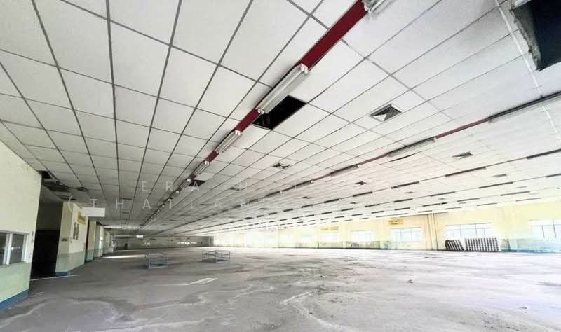 ที่ดิน 308 ไร่ แถมฟรีโรงงานที่ดินสีม่วงเข้ม, ปราจีนบุรี, ศรีมหาโพธิ, ปราจีนบุรี, 14,925 ตร.ม., โกดัง-โรงงาน ขาย, โดย ERA Holding (Thailand) Co., Ltd., 500440323 - DDproperty.com