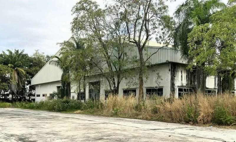 ที่ดิน 308 ไร่ แถมฟรีโรงงานที่ดินสีม่วงเข้ม, ปราจีนบุรี, ศรีมหาโพธิ, ปราจีนบุรี, 14,925 ตร.ม., โกดัง-โรงงาน ขาย, โดย ERA Holding (Thailand) Co., Ltd., 500440323 - DDproperty.com