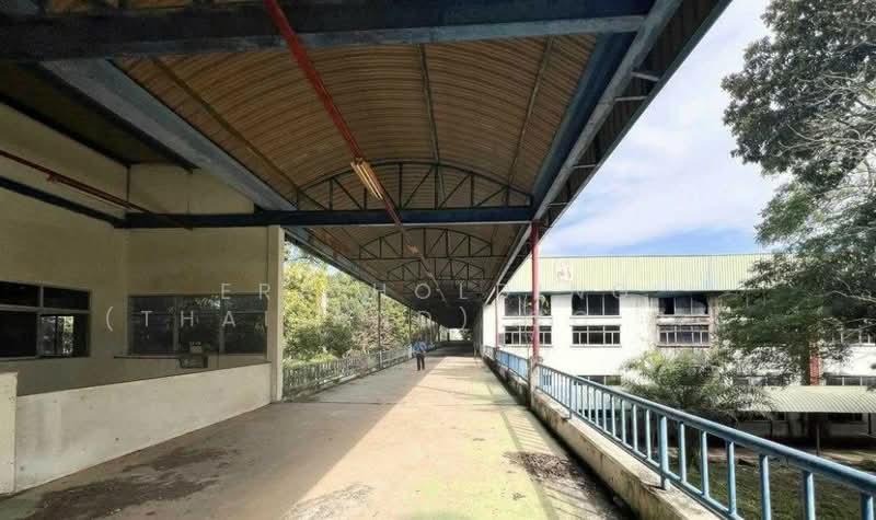 ที่ดิน 308 ไร่ แถมฟรีโรงงานที่ดินสีม่วงเข้ม, ปราจีนบุรี, ศรีมหาโพธิ, ปราจีนบุรี, 14,925 ตร.ม., โกดัง-โรงงาน ขาย, โดย ERA Holding (Thailand) Co., Ltd., 500440323 - DDproperty.com