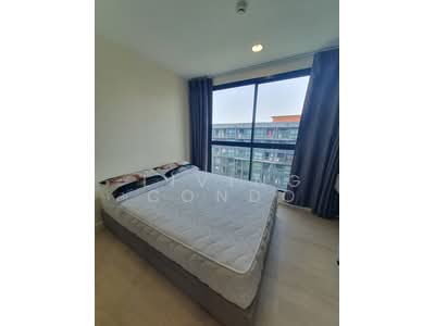 For Rent - The Excel Groove Lasalle 52, Bangkok
