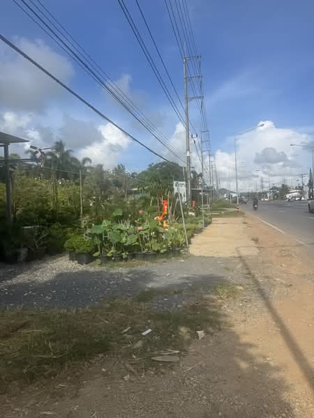 A plot of land measuring 18 rai located along a four-lane road in Pa Khlok, Thalang, Phuket, Phuket, Pa Khlok, Thalang, Phuket, , 29,080 sqm, Land For Sale, by Pawarisa Shanivet, 500440363 - DDproperty.com