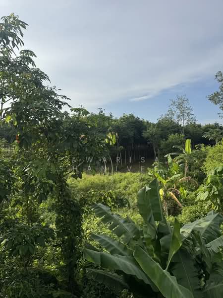 A plot of land measuring 18 rai located along a four-lane road in Pa Khlok, Thalang, Phuket, Phuket, Pa Khlok, Thalang, Phuket, , 29,080 sqm, Land For Sale, by Pawarisa Shanivet, 500440363 - DDproperty.com