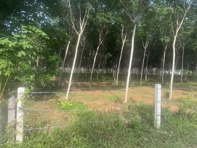 ที่ดินติดถนนสี่เลน ป่าคลอก ถลาง ภูเก็ต จำนวน 18 ไร่, ภูเก็ต, ป่าคลอก, ถลาง, ภูเก็ต, 29,080 ตร.ม., ที่ดิน ขาย, โดย Pawarisa Shanivet, 500440363 - DDproperty.com