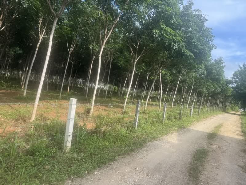 A plot of land measuring 18 rai located along a four-lane road in Pa Khlok, Thalang, Phuket, Phuket, Pa Khlok, Thalang, Phuket, , 29,080 sqm, Land For Sale, by Pawarisa Shanivet, 500440363 - DDproperty.com