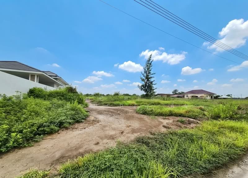 ที่ดินคลองโคน สมุทรสงคราม, Samut Songkhram, Khlong Khon, Muang Samut Songkhram, Samut Songkhram, , 1,600 sqm, Land For Sale, by The Best Property อิ๋ว, 500440380 - DDproperty.com
