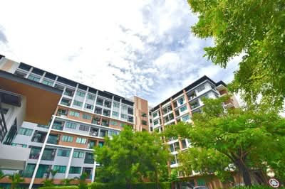 ขาย - G Condo Sriracha : จี คอนโด ศรีราชา, ชลบุรี