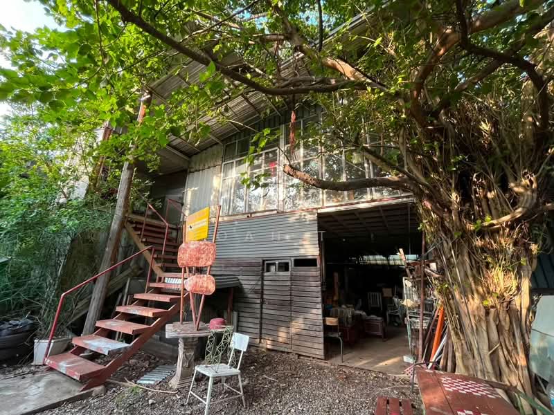 อาคารให้เช่า เอกมัย พระโขนง : Buildings for rent in Ekkamai and Phra Khanong:, กรุงเทพ, คลองตันเหนือ, วัฒนา, กรุงเทพ, 350 ตร.ม., ตึกแถว-อาคารพาณิชย์ ให้เช่า, โดย TOAH T., 500440482 - DDproperty.com