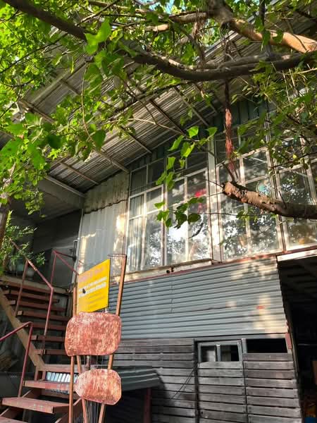 อาคารให้เช่า เอกมัย พระโขนง : Buildings for rent in Ekkamai and Phra Khanong:, กรุงเทพ, คลองตันเหนือ, วัฒนา, กรุงเทพ, 350 ตร.ม., ตึกแถว-อาคารพาณิชย์ ให้เช่า, โดย TOAH T., 500440482 - DDproperty.com