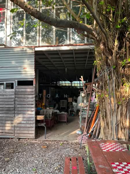 อาคารให้เช่า เอกมัย พระโขนง : Buildings for rent in Ekkamai and Phra Khanong:, Bangkok, Khlong Tan Nua, Watthana, Bangkok, , 350 sqm, Shophouse For Rent, by TOAH T., 500440482 - DDproperty.com