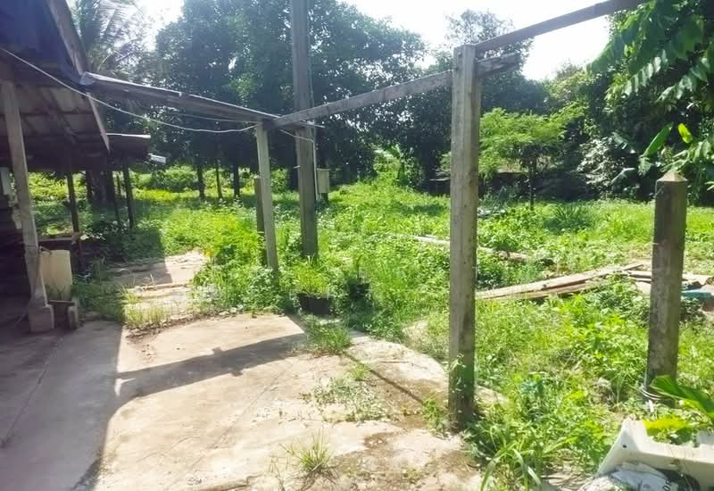 ที่ดินคลองนารายณ์ จันทบุรี, จันทบุรี, คลองนารายณ์, เมืองจันทบุรี, จันทบุรี, 1,158 ตร.ม., ที่ดิน ขาย, โดย The Best Property แมว, 500440490 - DDproperty.com