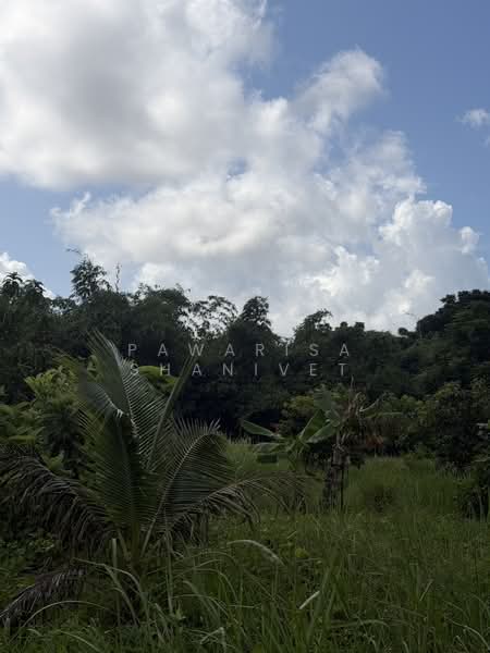 Land for sale near Botanica Thalang project, Phuket, 12 rai, Phuket, Thep Krasattri, Thalang, Phuket, , 19,200 sqm, Land For Sale, by Pawarisa Shanivet, 500440515 - DDproperty.com