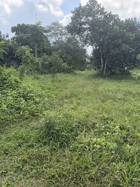 Land for sale near Botanica Thalang project, Phuket, 12 rai, Phuket, Thep Krasattri, Thalang, Phuket, , 19,200 sqm, Land For Sale, by Pawarisa Shanivet, 500440515 - DDproperty.com