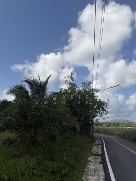 Land for sale near Botanica Thalang project, Phuket, 12 rai, Phuket, Thep Krasattri, Thalang, Phuket, , 19,200 sqm, Land For Sale, by Pawarisa Shanivet, 500440515 - DDproperty.com