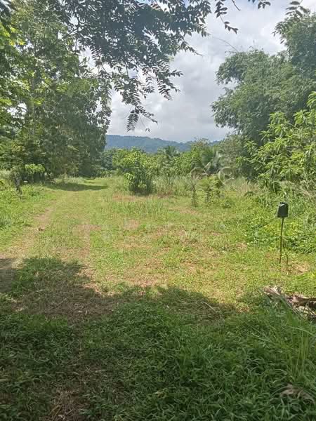 Land for sale near Botanica Thalang project, Phuket, 12 rai, Phuket, Thep Krasattri, Thalang, Phuket, , 19,200 sqm, Land For Sale, by Pawarisa Shanivet, 500440515 - DDproperty.com