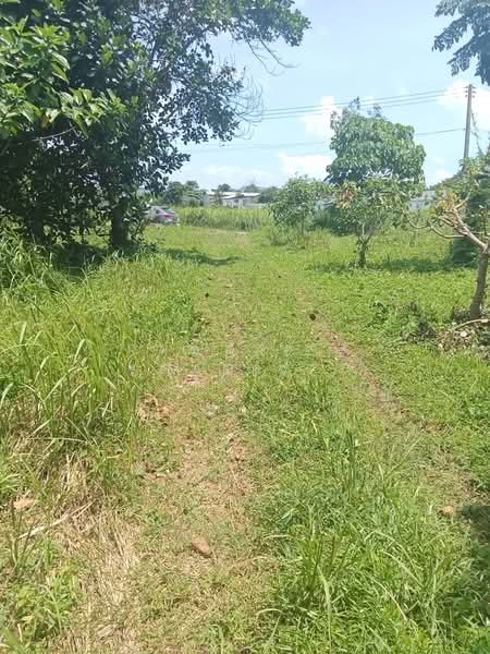 Land for sale near Botanica Thalang project, Phuket, 12 rai, Phuket, Thep Krasattri, Thalang, Phuket, , 19,200 sqm, Land For Sale, by Pawarisa Shanivet, 500440515 - DDproperty.com