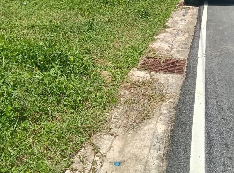 Land for sale near Botanica Thalang project, Phuket, 12 rai, Phuket, Thep Krasattri, Thalang, Phuket, , 19,200 sqm, Land For Sale, by Pawarisa Shanivet, 500440515 - DDproperty.com