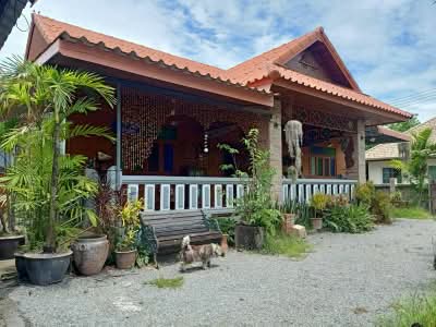 ขาย - ขาย บ้านเดี่ยวโซนสันป่าตอง, เชียงใหม่