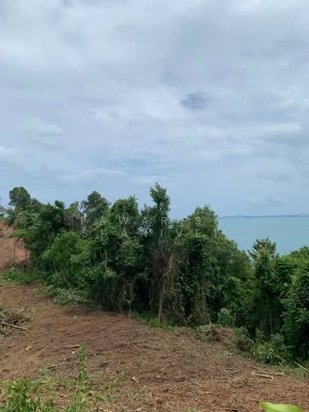 12 rai of land on Koh Yao Yai, Phang Nga Province, Phangnga, Phru Nai, Ko Yao, Phangnga, , 19,404 sqm, Land For Sale, by Pawarisa Shanivet, 500440561 - DDproperty.com