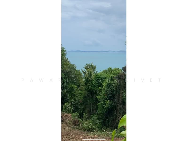 12 rai of land on Koh Yao Yai, Phang Nga Province, Phangnga, Phru Nai, Ko Yao, Phangnga, , 19,404 sqm, Land For Sale, by Pawarisa Shanivet, 500440561 - DDproperty.com