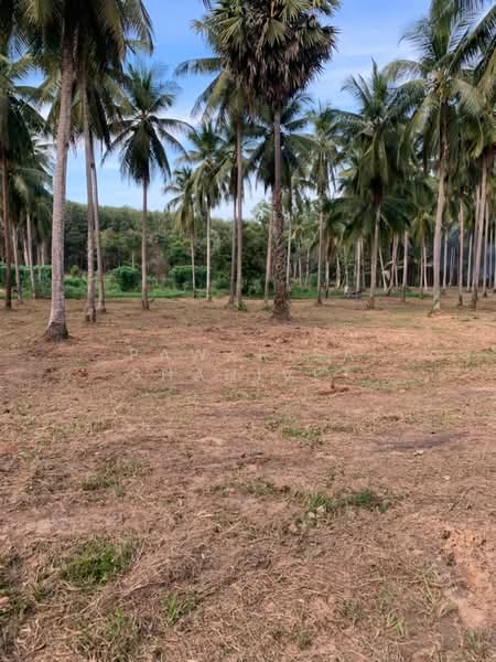 12 rai of land on Koh Yao Yai, Phang Nga Province, Phangnga, Phru Nai, Ko Yao, Phangnga, , 19,404 sqm, Land For Sale, by Pawarisa Shanivet, 500440561 - DDproperty.com
