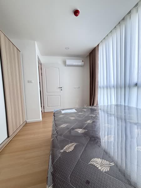 Cerocco Bangna 36, Bangkok, Bang Na-Trat 36 Alley, Bang Na, Bangkok, 1 Bedroom, 31 sqm, Condo For Rent, by JOY (Attanakan), 500440563 - DDproperty.com