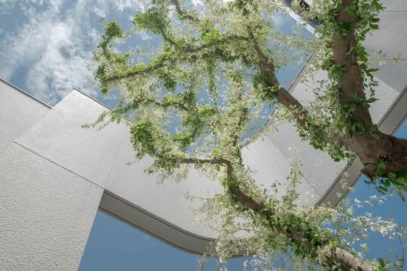 House Sathorn 15, Bangkok, สาทรเหนือ, Thung Wat Don, Sathon, Bangkok, 3 Bedrooms, 460 sqm, Single Detached House For Sale, by Smart Living Bangkok Co.,Ltd., 500440603 - DDproperty.com