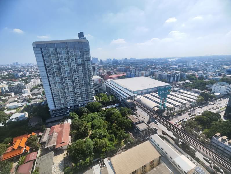 Q House Sukhumvit 79, Bangkok, 2059 Sukhumvit Road, Phra Kanong Nua, Watthana, Bangkok, 1 Bedroom, 30 sqm, Condo For Rent, by rapeephan, 500440634 - DDproperty.com