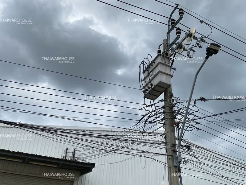 1,600 SQM Factory & Warehouse, Sai Mai, 40-Foot Access | TWR-0320, Bangkok, O-Ngoen, Sai Mai, Bangkok, , 1,600 sqm, Warehouse/Factory For Rent, by THAI WAREHOUSE FACTORY CO., LTD., 500440654 - DDproperty.com