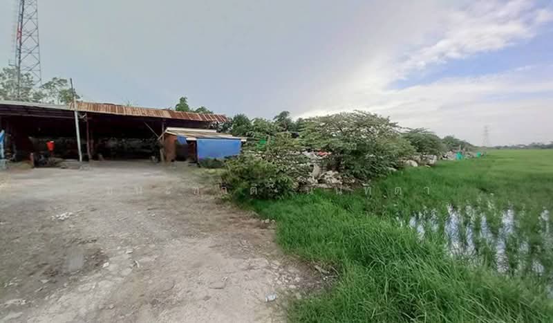 ซอยประชาร่วมใจ 43, Bangkok, Sai Kong Din Tai, Khlong Sam Wa, Bangkok, , 2,506 sqm, Land For Sale, by ชนะชาติ นนท์ตา, 500440672 - DDproperty.com