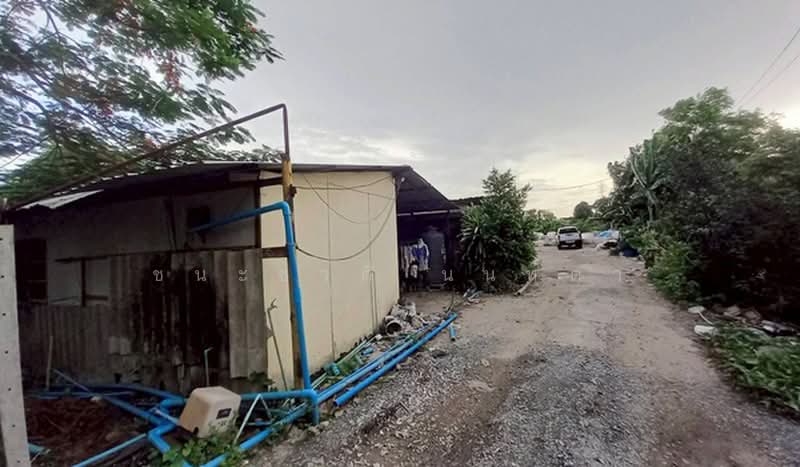 ซอยประชาร่วมใจ 43, กรุงเทพ, ทรายกองดินใต้, คลองสามวา, กรุงเทพ, 2,506 ตร.ม., ที่ดิน ขาย, โดย ชนะชาติ นนท์ตา, 500440672 - DDproperty.com