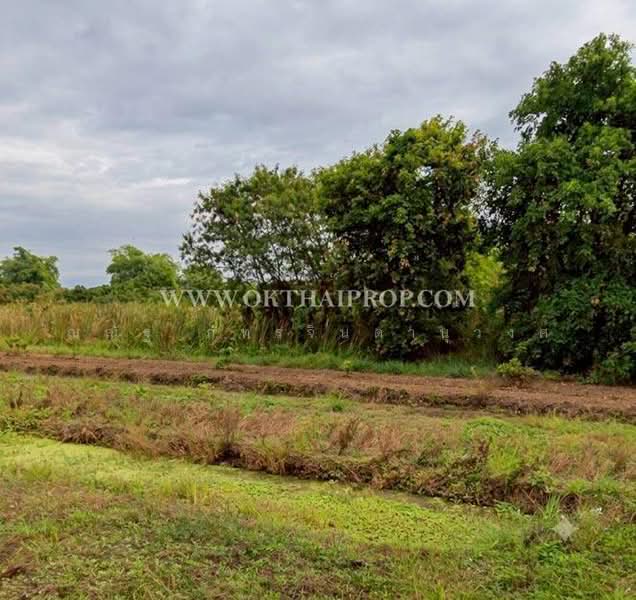 ถ.เชียงใหม่-ลำพูน ต.เหมืองง่า อ.เมืองลำพูน จ.ลำพูน, Lamphun, Muang Nga, Muang Lamphun, Lamphun, , 4,704 sqm, Land For Sale, by ณณัฐ ภัทรจินดานุวงศ์, 500440674 - DDproperty.com