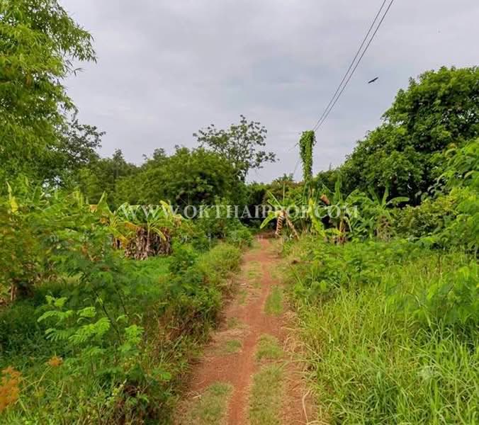 ถ.เชียงใหม่-ลำพูน ต.เหมืองง่า อ.เมืองลำพูน จ.ลำพูน, Lamphun, Muang Nga, Muang Lamphun, Lamphun, , 4,704 sqm, Land For Sale, by ณณัฐ ภัทรจินดานุวงศ์, 500440674 - DDproperty.com