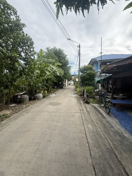 ทุ่งครุ, Bangkok, Thung Khru, Bangkok, , 527 sqm, Warehouse/Factory For Rent, by พรรณิภา เลากลาง, 500440715 - DDproperty.com