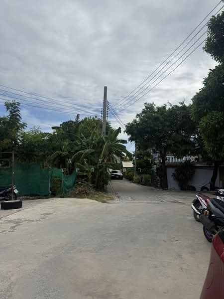 ทุ่งครุ, กรุงเทพ, ทุ่งครุ, กรุงเทพ, 527 ตร.ม., โกดัง-โรงงาน ให้เช่า, โดย พรรณิภา เลากลาง, 500440715 - DDproperty.com