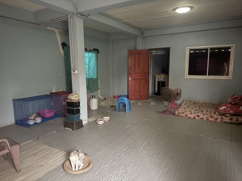 บางคูวัด, Pathum Thani, บางคูวัด-บางบัวทอง 7 ซอยอาสาเฮาส์, Bang Khu Wat, Muang Pathum Thani, Pathum Thani, 2 Bedrooms, 120 sqm, Single Detached House For Sale, by เทวฤทธิ์ แผ่นคำ, 500440753 - DDproperty.com