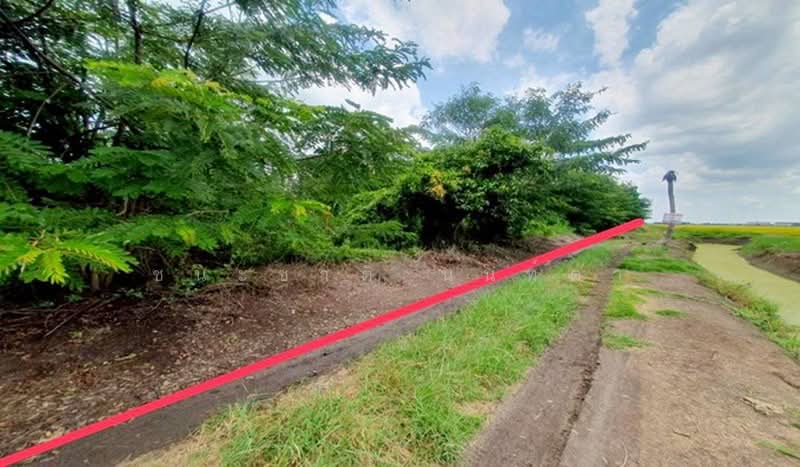 ถนนเลียบคลองอุดม, Chachoengsao, Khlong Udomchonchon, Muang Chachoengsao, Chachoengsao, , 10,460 sqm, Land For Sale, by ชนะชาติ นนท์ตา, 500440859 - DDproperty.com