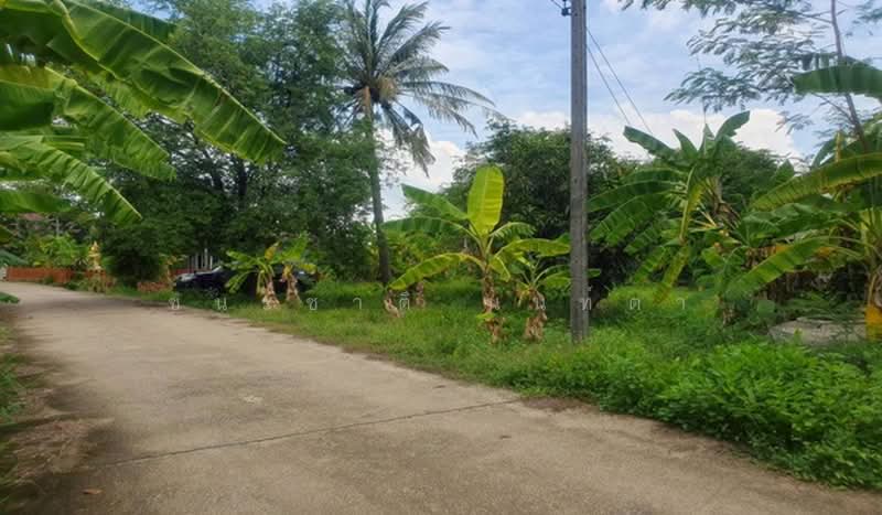 ถนนเลียบคลองอุดม, Chachoengsao, Khlong Udomchonchon, Muang Chachoengsao, Chachoengsao, , 10,460 sqm, Land For Sale, by ชนะชาติ นนท์ตา, 500440859 - DDproperty.com