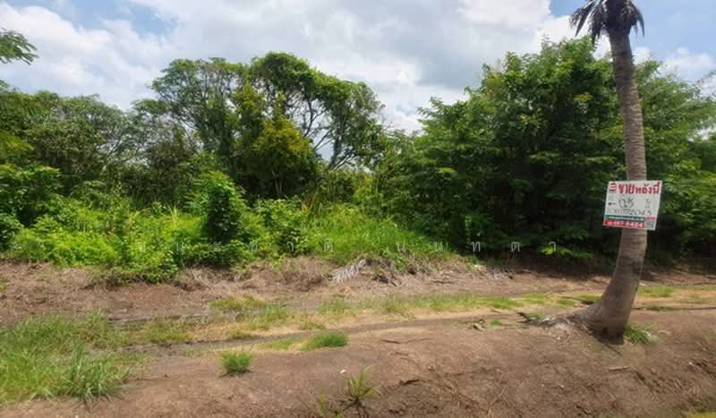 ถนนเลียบคลองอุดม, Chachoengsao, Khlong Udomchonchon, Muang Chachoengsao, Chachoengsao, , 10,460 sqm, Land For Sale, by ชนะชาติ นนท์ตา, 500440859 - DDproperty.com