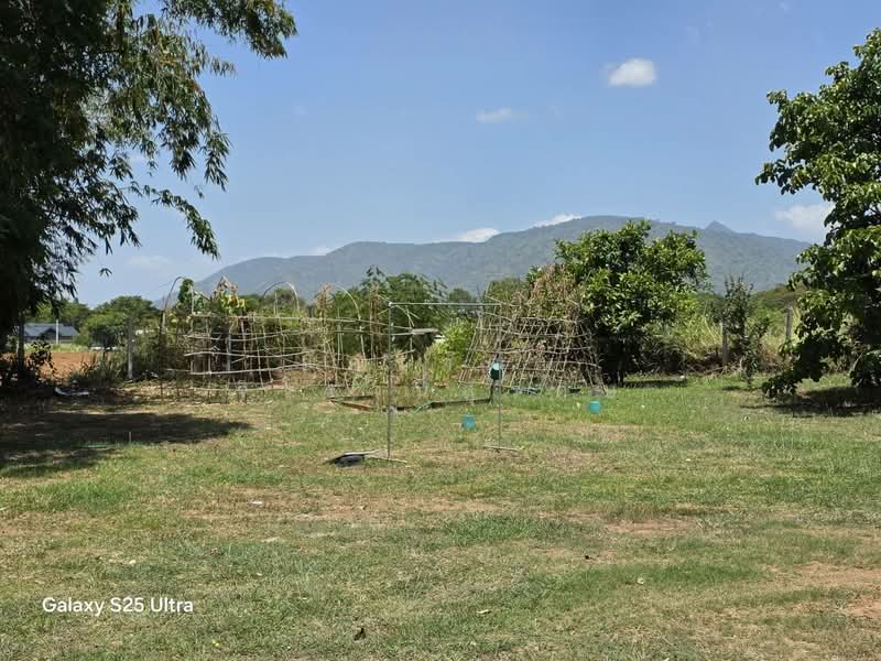 kHAOYAI Homestay, Nakhon Ratchasima, ทล.ชบ.3052, Mu Si, Pak Chong, Nakhon Ratchasima, 2 Bedrooms, 72 sqm, Single Detached House For Sale, by อัครวัฒน์ จิโรจน์สุรดิษ, 500440898 - DDproperty.com