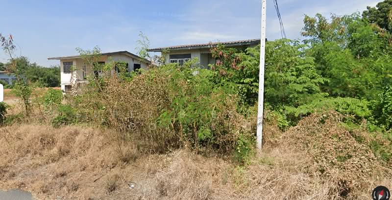 ที่ดิน ฉะเชิงเทรา, ฉะเชิงเทรา, สุขุมวิท, บางปะกง, ฉะเชิงเทรา, 44,800 ตร.ม., ที่ดิน ให้เช่า, โดย Super B Estate Co., Ltd, 500440900 - DDproperty.com