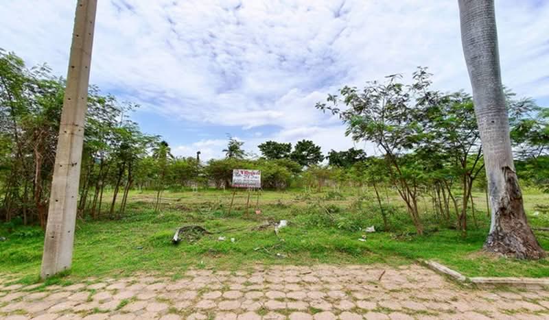 Baan Krisdanakorn 26 City Golf Hill : บ้านกฤษดานคร 26 ซิตี้กอล์ฟฮิลล์, นครปฐม, นครชัยศรี, นครปฐม, 1,492 ตร.ม., ที่ดิน ขาย, โดย ชนะชาติ นนท์ตา, 500440919 - DDproperty.com