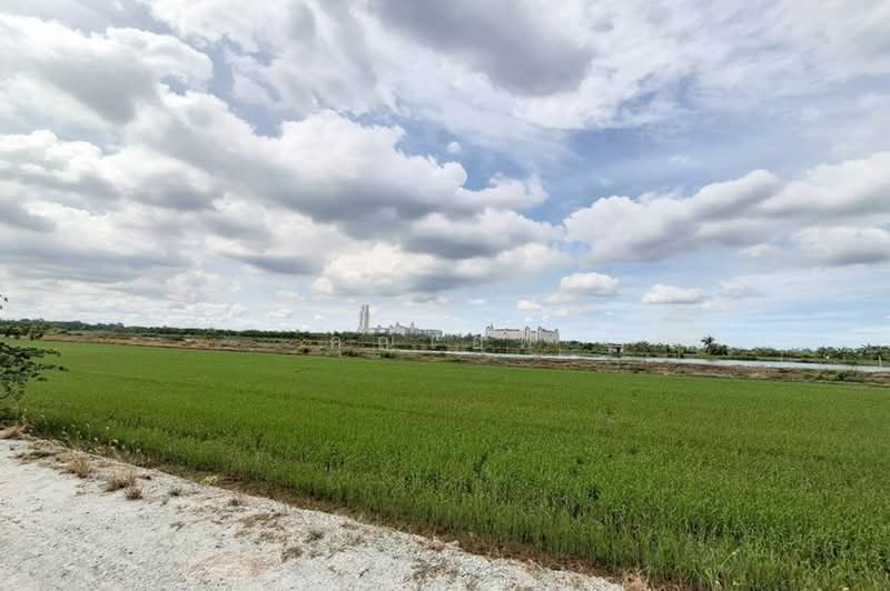 ถนนบางนา-ตราด ตำบลบางเสาธง, สมุทรปราการ, ถนนบางนา-ตราด, บางเสาธง, สมุทรปราการ, 800 ตร.ม., ที่ดิน ขาย, โดย คุณเอฟ, 500440937 - DDproperty.com