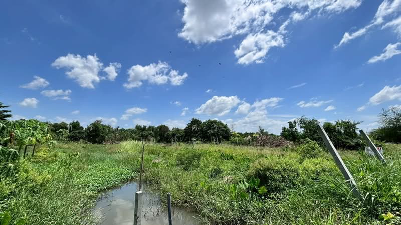 ที่ดินเปล่า ซอยวัดพระศรี ถนนเลียบคลองเปรมประชากร, Pathum Thani, Ban Pa-thum, Sam Khok, Pathum Thani, , 800 sqm, Land For Sale, by ภัทรนัน อิศรางกูร ณ อยุธยา, 500440958 - DDproperty.com
