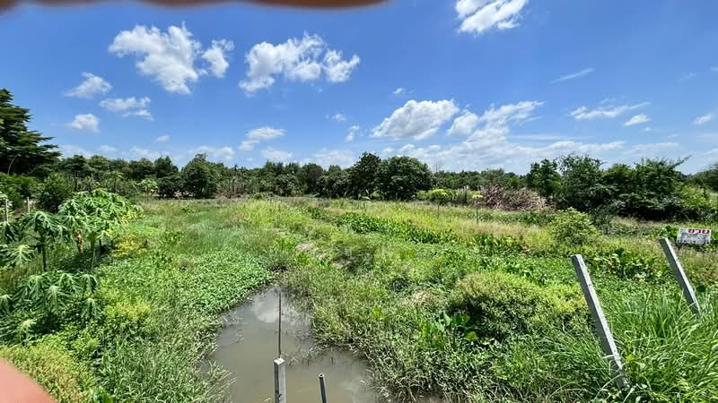 ที่ดินเปล่า ซอยวัดพระศรี ถนนเลียบคลองเปรมประชากร, Pathum Thani, Ban Pa-thum, Sam Khok, Pathum Thani, , 800 sqm, Land For Sale, by ภัทรนัน อิศรางกูร ณ อยุธยา, 500440958 - DDproperty.com