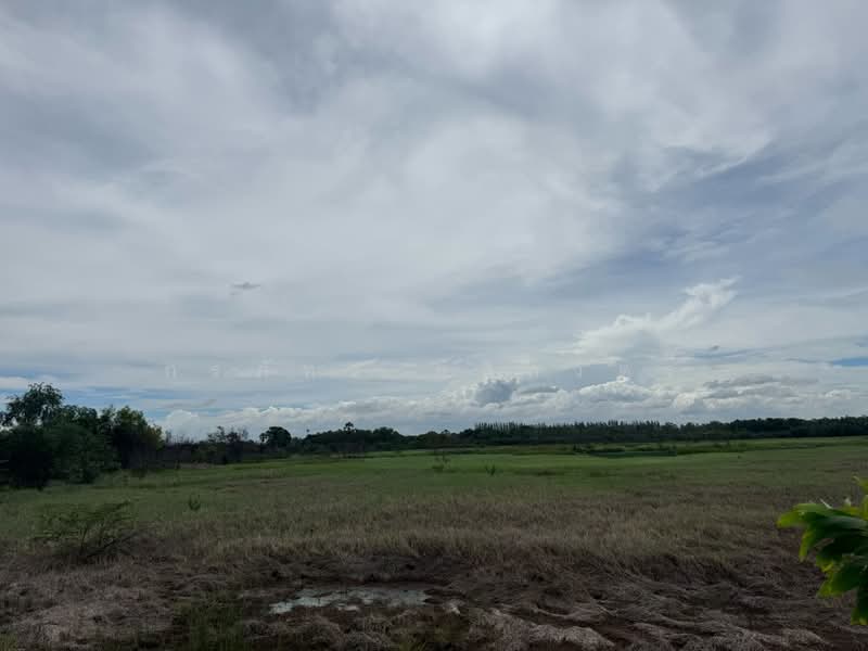 ขายที่ดินเปล่า 1-2-12 ไร่ ต.บางปลากด อ.องครักษ์ จ.นครนายก, นครนายก, บางปลากด, องครักษ์, นครนายก, 2,448 ตร.ม., ที่ดิน ขาย, โดย กรภัทร กสิกวัตร์, 500441005 - DDproperty.com