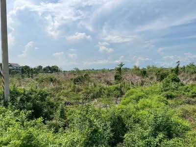 ขาย - ขายด่วน! ที่ดินแปลงสวย ติดถนนใหญ่ ทำเลศักยภาพ ต.คลองหลวงแพ่ง อ.เมืองฉะเชิงเทรา จังหวัดฉะเชิงเทรา, ฉะเชิงเทรา
