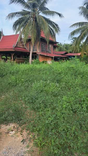 ขาย ที่ดินพร้อมบ้านเรือนไทย บรรยากาศร่มรื่นเป็นส่วนตัว ทำเลดีบ้านแพ้ว สมุทรสาคร ขนาด 4 ไร่ 2 งานเศษ, Samut Sakhon, Nong Bua, Ban Phaeo, Samut Sakhon, , 7,312 sqm, Land For Sale, by ERA Thailand, 500441093 - DDproperty.com