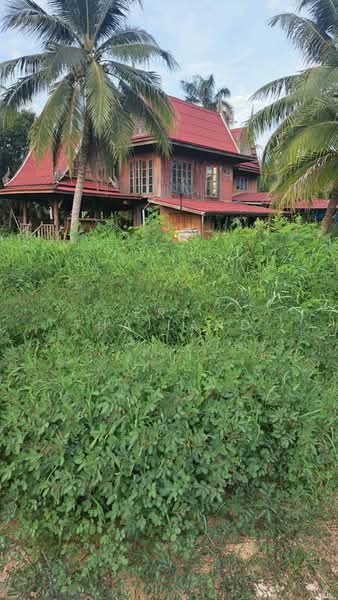 ขาย ที่ดินพร้อมบ้านเรือนไทย บรรยากาศร่มรื่นเป็นส่วนตัว ทำเลดีบ้านแพ้ว สมุทรสาคร ขนาด 4 ไร่ 2 งานเศษ, Samut Sakhon, Nong Bua, Ban Phaeo, Samut Sakhon, , 7,312 sqm, Land For Sale, by ERA Thailand, 500441093 - DDproperty.com
