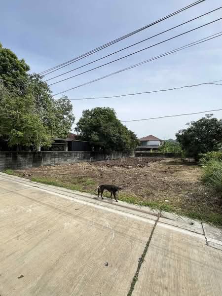 ที่ดินเปล่าถมแล้ว ทำเลศักยภาพ ซ.ไทรม้า 3 แยก 1 (ซ.ท่าอิฐ) จ.นนทบุรี, Nonthaburi, Sai Ma, Muang Nonthaburi, Nonthaburi, , 400 sqm, Land For Sale, by ศุภวัฒน์ ไชยสาร, 500441158 - DDproperty.com